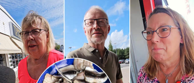 Äta eller ej – så tänker Luleåborna om rödlistad surströmming