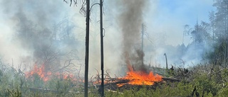 Blixtnedslag startade skogsbrand i Knivsta