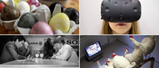 Påsklov i Gnesta – med äggjakt, VR och museitripp