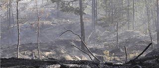 Flera stationer bekämpar skogsbränderna