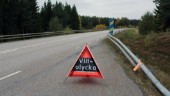Smet från viltolycka
