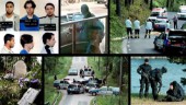 Långläsning: Historien om polismorden