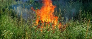 I skogsbrandens spår: Så förebygger du bränder utomhus