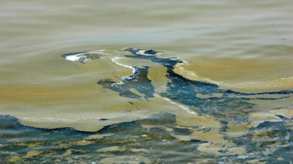 Orenat avloppsvatten är en bidragande orsak till övergödning, som i sin tur kan leda till kraftigare algblomning.