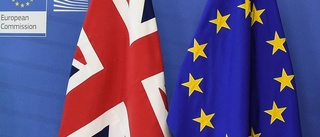 Henrik Hall: Brexit är EU:s fel