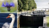Testa dig i vårt sköna östgötaquiz