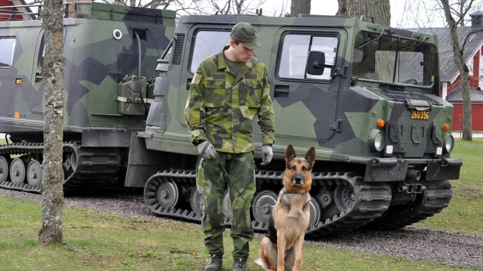 Jaxon och hundförare Robin är redo för Garnisonens dag den femte maj. Foto: Tommy Pettersson