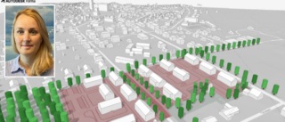 Nytt bostadsområde planeras i Luleå 