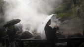USA och Japan satsar på geotermisk energi