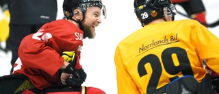 Direkt: Luleå Hockeys träning