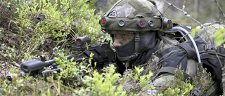 Finländare vill försvara andra Natoländer