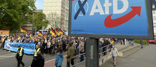 Första borgmästarposten för AFD