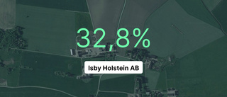 Årsredovisningen klar: Så gick det för Isby Holstein AB