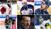 Stor genomgång: Läget i Hockeyallsvenskan just nu – lag för lag