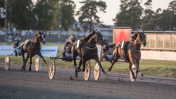 Sommartrav på Skrubbs