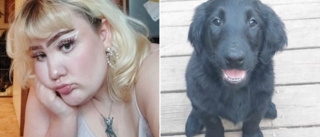 Linneas hundvalp dog efter bussolyckan: "Känns bara overkligt"