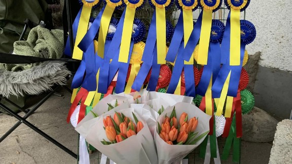 Islandshästtävling Sport Nivå 4