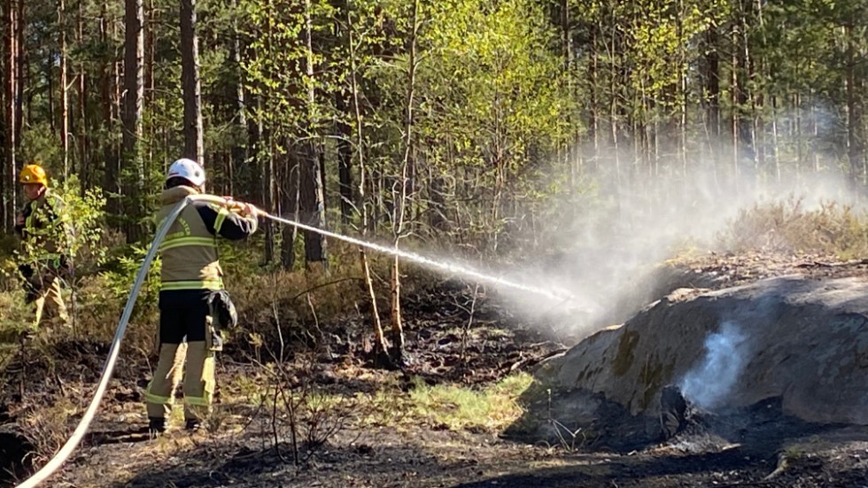 På tisdagesftermiddagen larmades räddningstjänsten till en brand i en skogsdunge på Granitvägen i Hultsfred.
