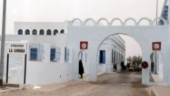 Flera dödade vid tunisisk synagoga