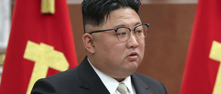 Kim Jong Un grattar och stöttar Putin