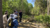 Mystisk fornborg i Hågadalen ska göras tillgänglig: "Unik miljö"