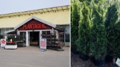 Växtkuppen: Träd och buskar lyftes över butikens staket
