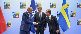 Äntligen Nato men priset var krypande för Erdoğan