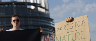 "Grön seger" i klimatdrama i EU