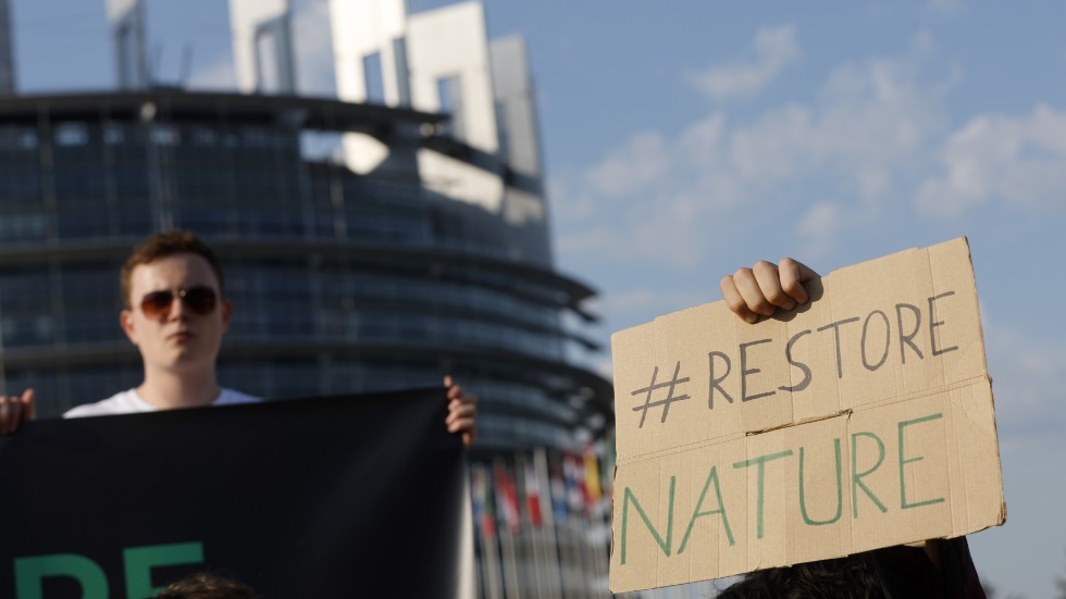 Klimataktivister demonstrerar i Strasbourg inför onsdagens omröstning om förslaget till naturrestaureringslag.