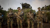 Natotoppmötet – Ukraina hetaste frågan