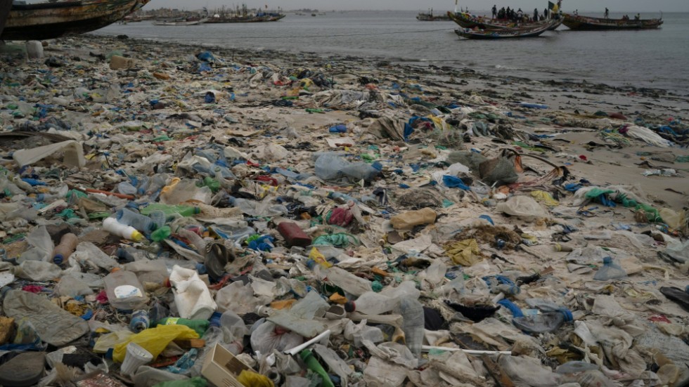 Plast är ett stort problem både för djur, växter och klimat. Ett nytt globalt avtal för att minska nedskräpning och användning är på gång. Arkivbild.