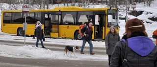 Efter snökaoset: Inga planer på inställda UL-bussar