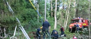 Häst dog efter fall i brunn