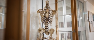 Ängsligt att rensa bort skeletten från Uppsalas skolor