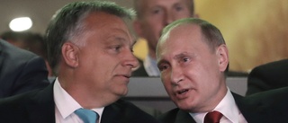 Orbán favorit i Ungern – trots Putins krig