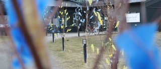 3 000 blågula fjädrar vajar för Ukraina – vid Gertrudsvik: "Känns helt rätt" • Tog hjälp av VIK:are