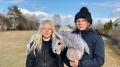 Jonathan, 11, vill ha en arena för käpphästar i Mariefred: "Väldigt billig idrott – och för alla"