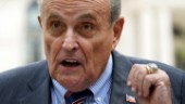 Giuliani i utredning om försök till valfusk