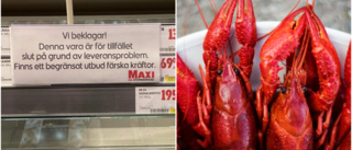 Hoten mot kräftskivorna: ✓ Varma vatten ✓ Pest ✓ Kemikalier • Så ser det ut på Gotland • ”Vi har brist”