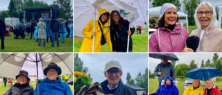 Stadsdelsfestivalen "Skurstock" lockade många trots regnvädret • "Fantastiskt roligt att det är så lokalt"