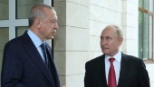 Putin och Erdogan ska ses i Iran