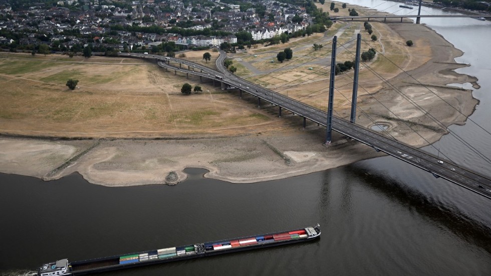 Ett fraktfartyg på Rhen genom Düsseldorf tidigare i veckan. De låga vattennivåerna i floden hotar nu den tyska industriproduktionen.