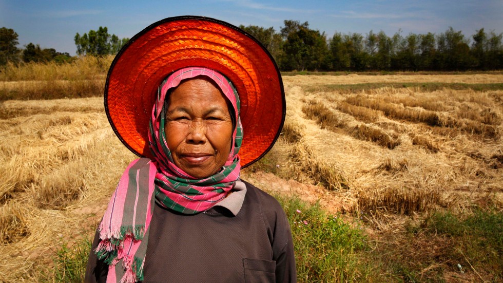 Risbonden Jumnong Sudnongbua vid sitt fält i byn Kambon i nordöstra Thailand. I området finns många småskaliga jordbruk – viktiga för matförsörjningen i regionen. Arkivbild.