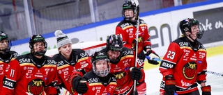 Så var rapporteringen från Luleå Hockey/MSSK–Modo