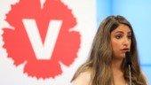 Dadgostar kräver inflytande över budgeten