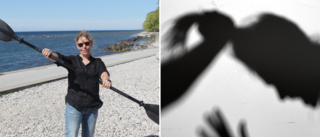 Hon ska paddla runt Gotland – "Det handlar om att stoppa våldet"