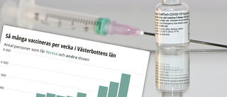 Kraftigt minskad vaccinationstakt i Skellefteå – halvering jämfört med veckan innan: Malå fortfarande i topp