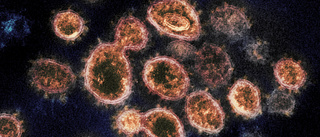 Börjar coronaviruset få slut på idéer?