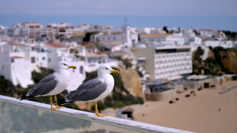 Det blev ingen resa till Algarvekusten, för signaturen "Två pensionärer". Och heller ingen återbetalning.