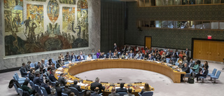 Fem nya invalda i FN:s säkerhetsråd